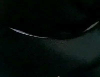 Masturbation Mature Man with Big Cock Part 1
