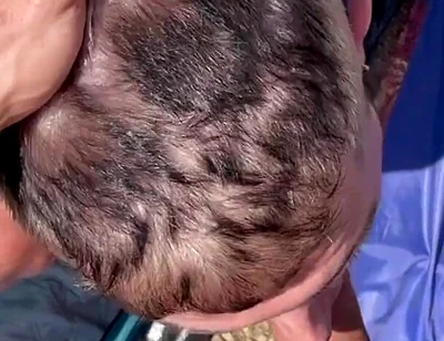 A Couple of Hot Guys Have Wild Sex on a Beach, Causing Vacationers to React Aggressively to Them