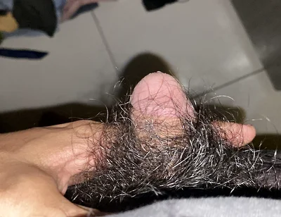 I Masturbate in the Afternoon